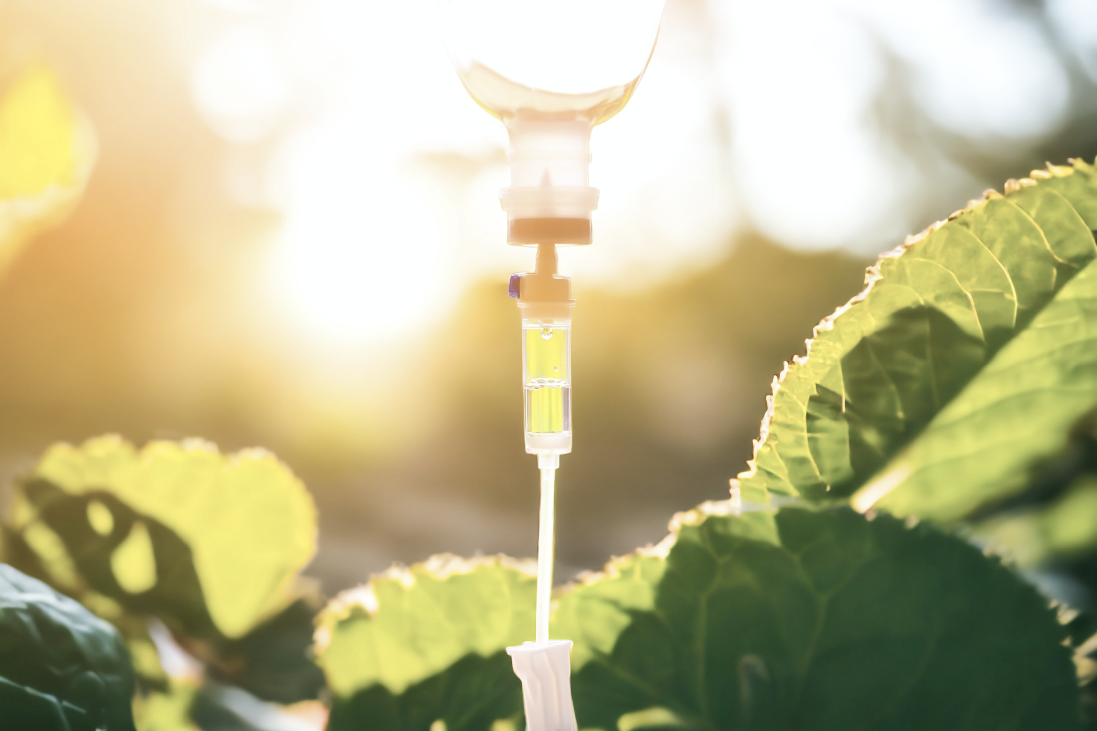 Natural,Green,Vitamin,Nutriention,Iv,Drip,Therapy,Drug,Treatment,Concept.doctor
